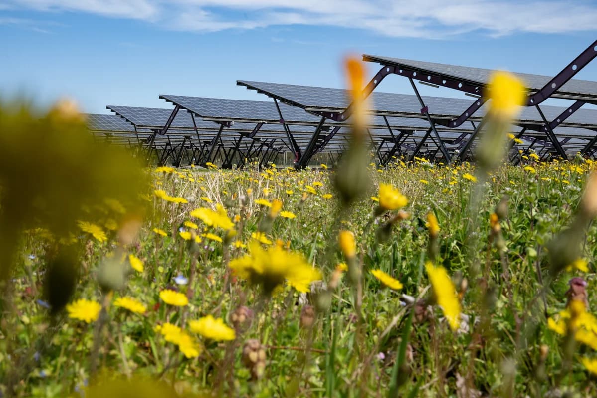 Cyprus: Renewable Energy Challenges Despite EU Commitments
