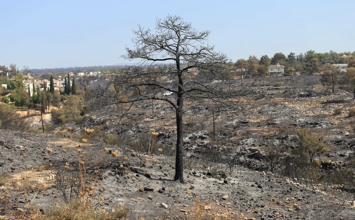 Reacciones chipriotas al informe de los expertos estadounidenses sobre incendios