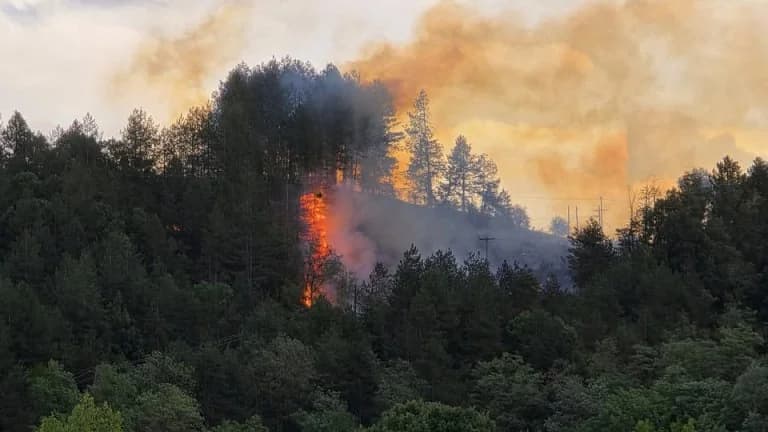 Гревена: Шторм вызвал 4 пожара – В Синдендро активирована служба 112