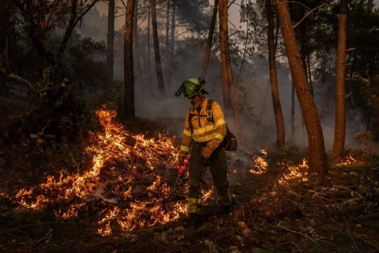 Ισπανία: Ο Σάντσεθ παραδέχεται ανεπαρκή πρόληψη πυρκαγιών