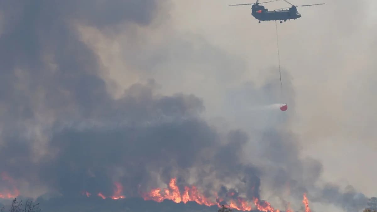 OPOK Calls for Transparency in Limassol Fires