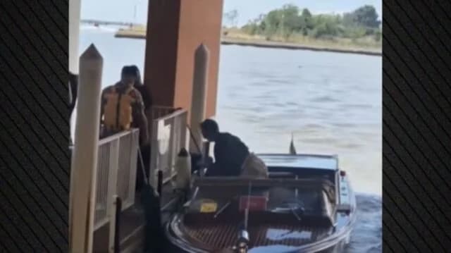 Jude Law: Kleiner Unfall in Venedig – Stolpert aus Wassertaxi