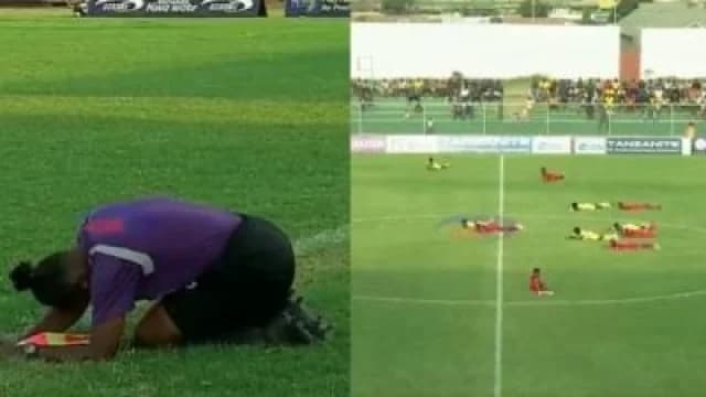 坦桑尼亚足球比赛因蜂群中断