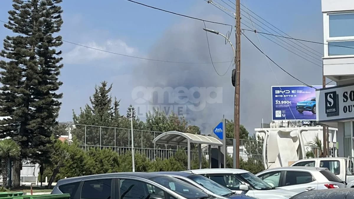 Brand in Limassol: Luftstreitkräfte verstärkt