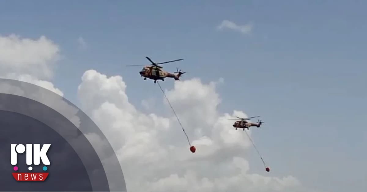 Incendio en Mouttagiaka, Limassol, Contenido; Investigación por Incendio Provocado en Curso