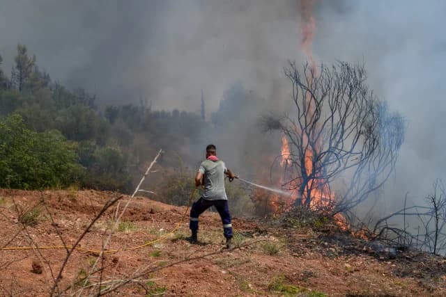 Departamento de Bomberos: 30 incendios forestales en Grecia en las últimas 24 horas