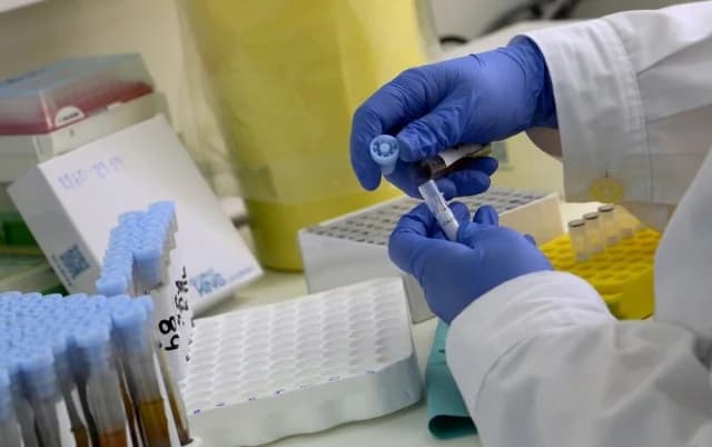 Εθνικό Μητρώο Νεοπλασματικών Ασθενειών: Ψηφιακά Εργαλεία για Ογκολογικούς Ασθενείς