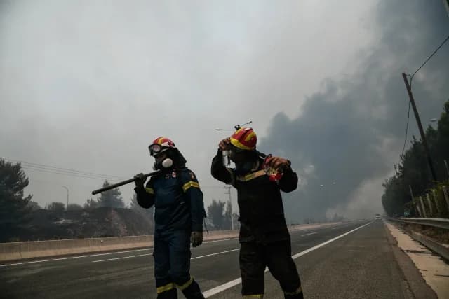 Пожарная служба: 31 лесной пожар за последние 24 часа