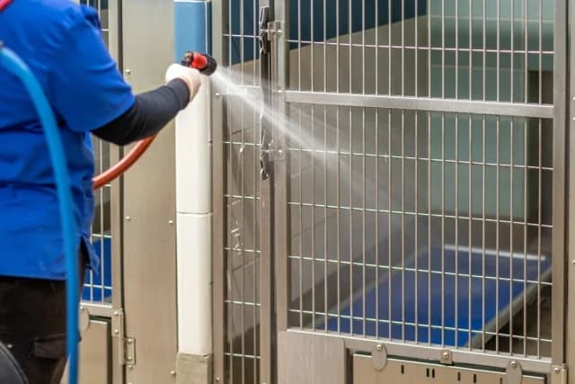 Εργαζόμενοι σε καταφύγιο ζώων στην Μοντάνα δηλητηριάστηκαν από καπνούς καύσης ναρκωτικών του FBI