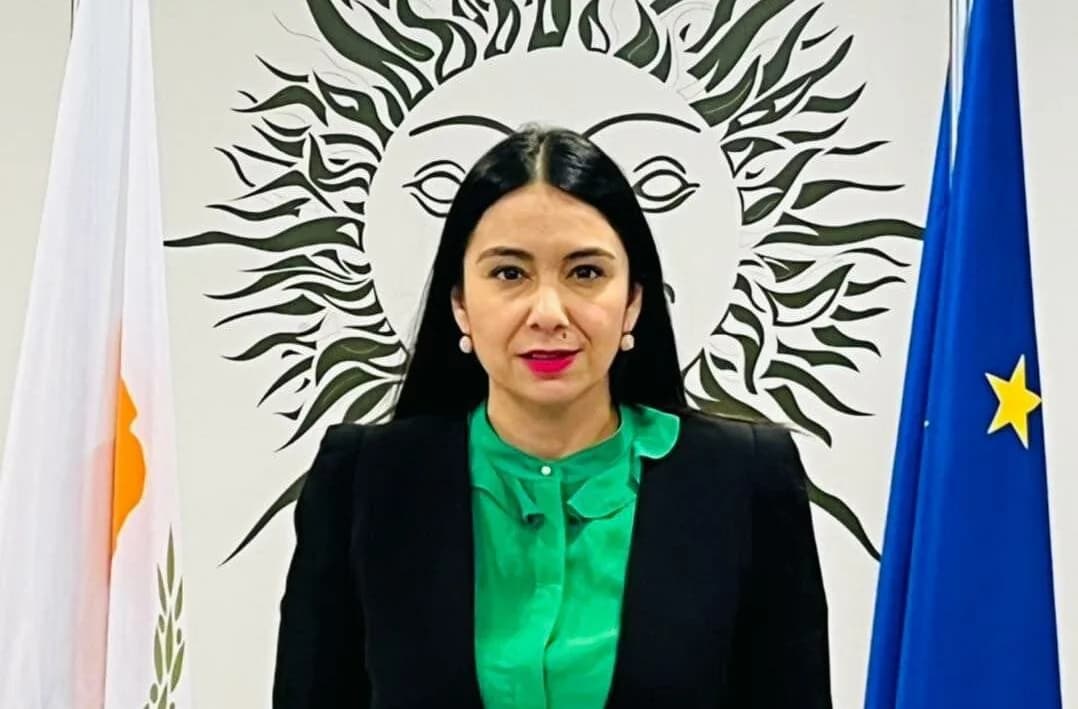 Законопроект о бессрочных командировках в парламент