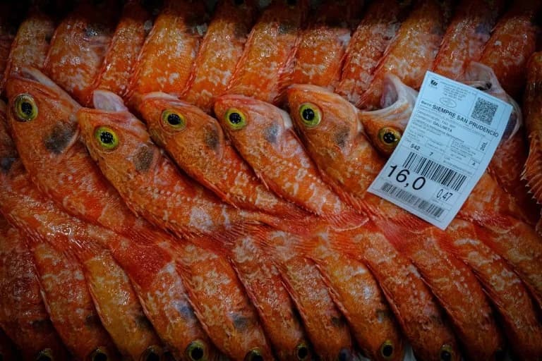 International Agreement on Overfishing Takes Effect
