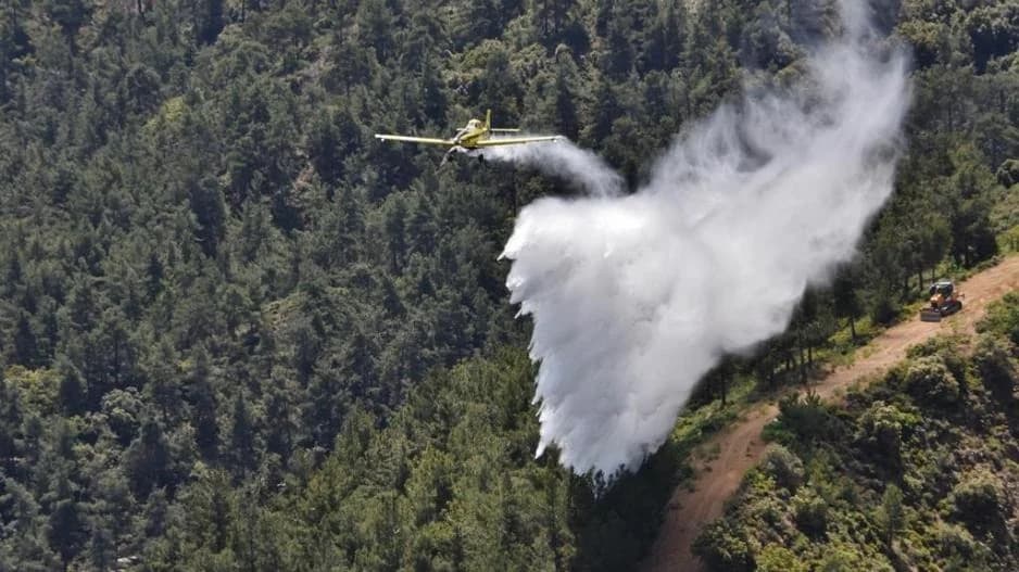 Farmers' Organizations Oppose the Division of the Department of Forests