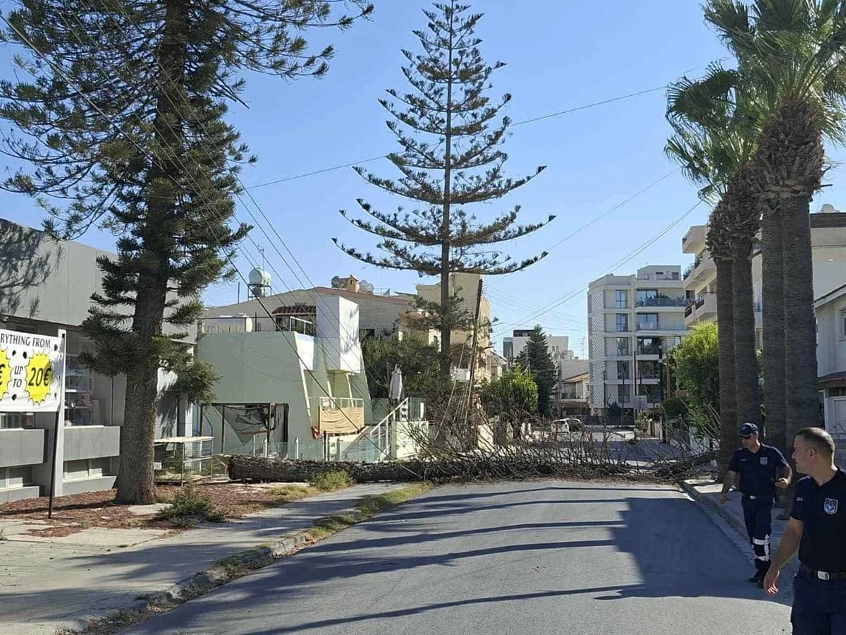 Lárnaca: La caída de un árbol causa daños y un corte de energía