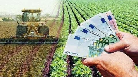 Gabinete aprueba ayuda de 1,5 millones de euros para agricultores afectados por el clima