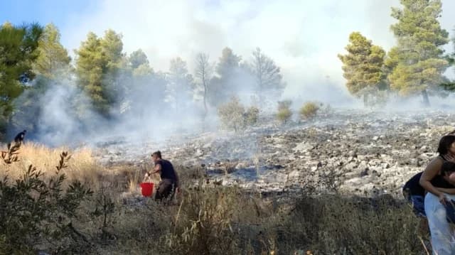 Φωτιά στον Άγιο Ονούφριο Μαγνησίας – Επιχείρηση κατάσβεσης