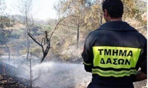 Feuer bricht im Bezirk Nikosia in der Nähe von Agia Varvara aus