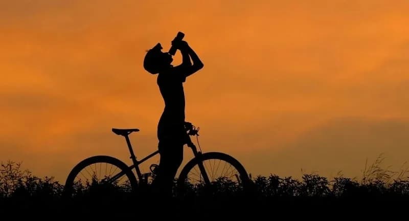 Over 60,000 Heatwave Deaths in Europe in 2024