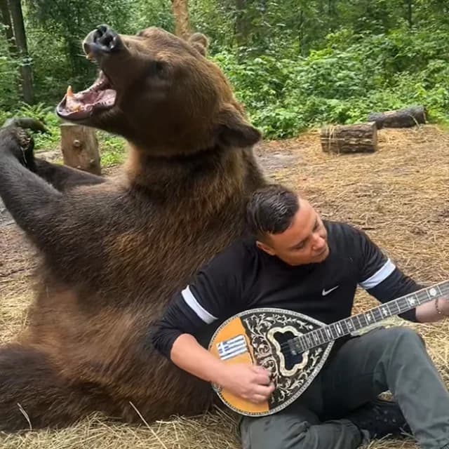 Griechischer Musiker spielt Bouzouki mit Bär in Russland: Viral Video