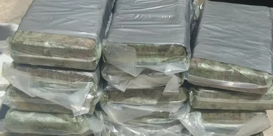 YKAN：在监控下的集装箱中发现 100 多公斤毒品