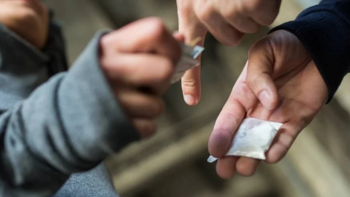 ΥΚΑΝ: Κατάσχεση 100kg ναρκωτικών – 4 συλλήψεις