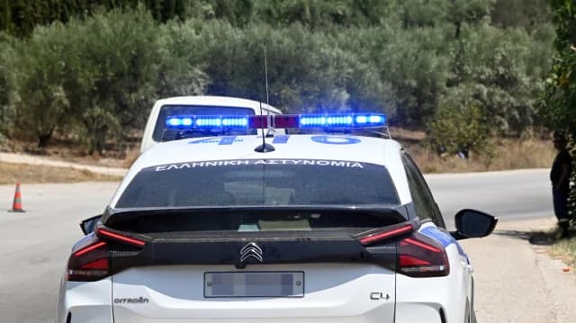 Ηράκλειο Κρήτης: 26χρονος συνελήφθη για κλοπή, οπλοκατοχή και ζωοκλοπή