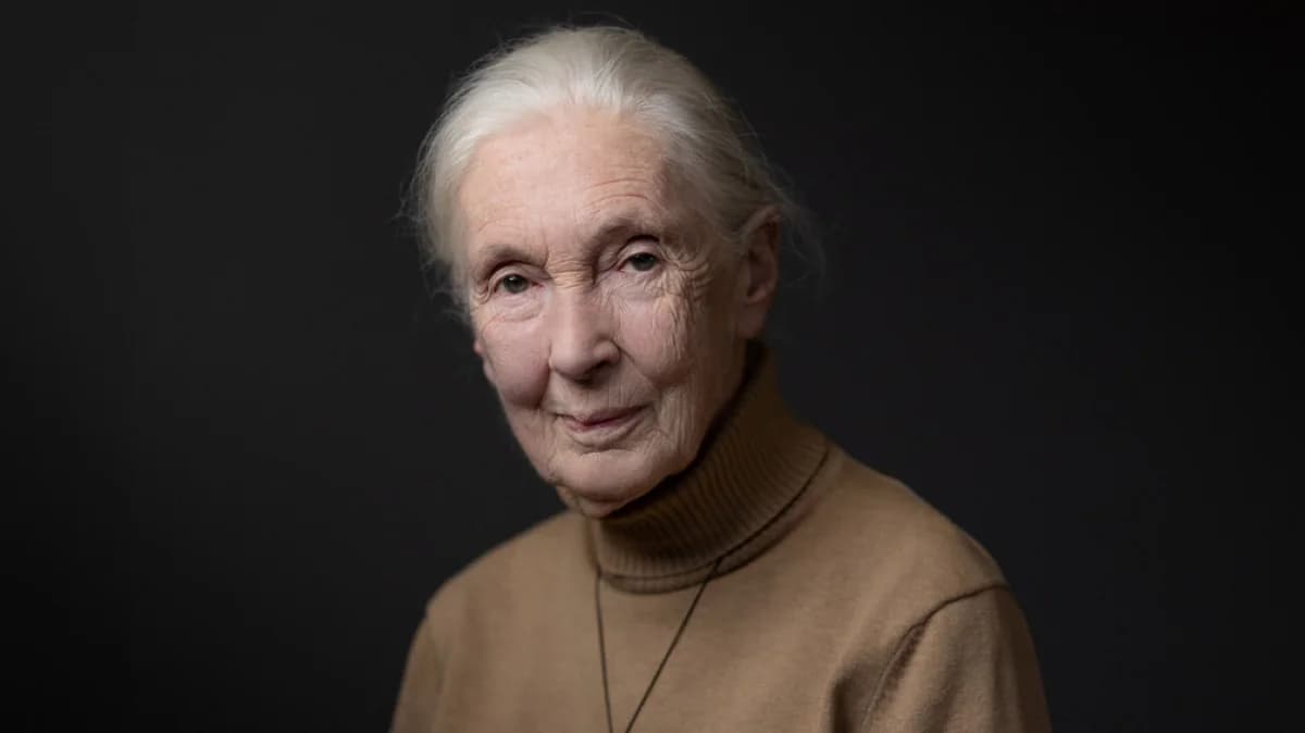 Jane Goodall, Pionierin der Schimpansenforschung, stirbt