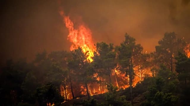 Feuer in Waldgebiet in Eleousa, Rhodos