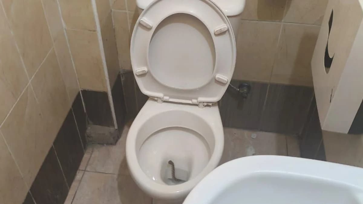 Φίδι βρέθηκε σε λεκάνη τουαλέτας στην Κύπρο