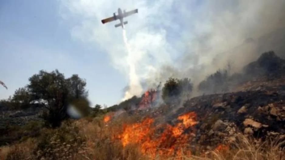 Brand im Bezirk Paphos – Zwei Flugzeuge im Einsatz