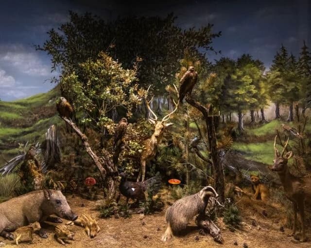 Kalamabaka Natural History Museum: 10 Years, 101 Awards