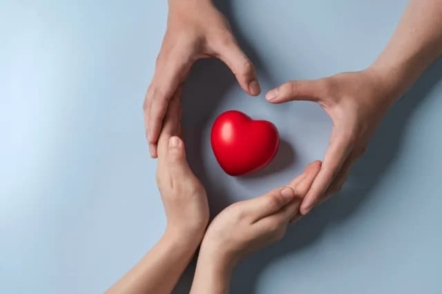 ספרד: אלופה בהשתלות איברים - סוד ההצלחה