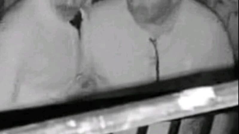 לרנקה: המשטרה מחפשת אחר שני אנשים בחשד לפריצה לבית