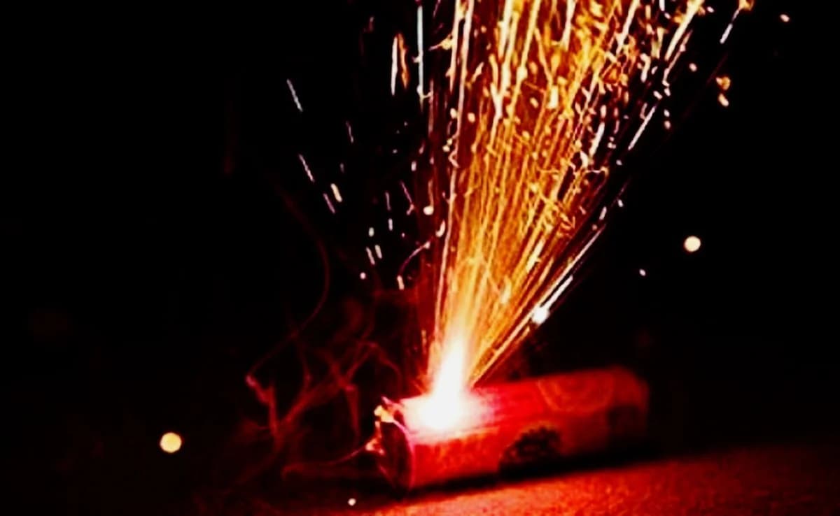 Fire at Pedagogical Academy Forest Park Caused by Firecracker