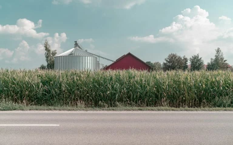 US: Record Corn Harvest Shakes Agricultural Economy