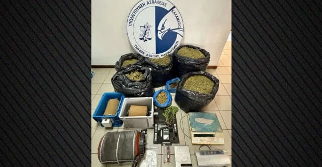 墨西尼亚：因违反工业大麻许可证被捕