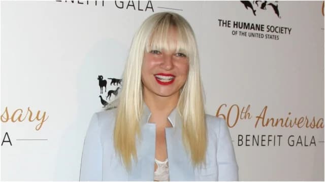 Sia's Estranged Husband Seeks Sole Custody of Their Son