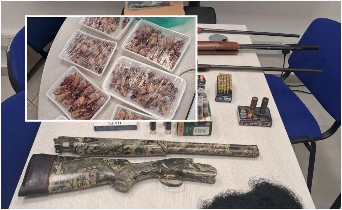 55-Jähriger wegen Mufflonschädeln und illegalen Waffen verhaftet