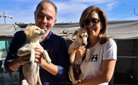 Abkommen zur Verwaltung von Hundeunterkünften in der Gemeinde Nikosia unterzeichnet