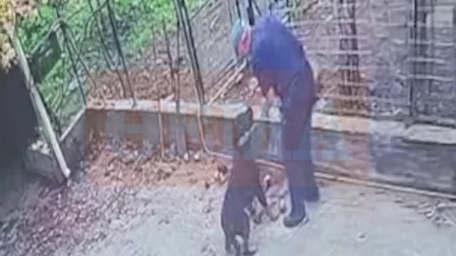 Kalamata: Hijo de un hombre de 76 años habla sobre el ataque de un Rottweiler