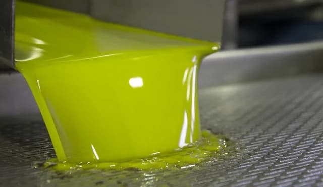 Aceite de oliva fresco: qué significa realmente y cómo identificarlo