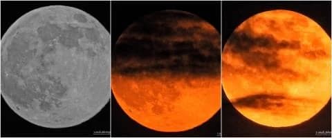 Impressive 'Beaver Moon' Illuminated Cyprus Sky