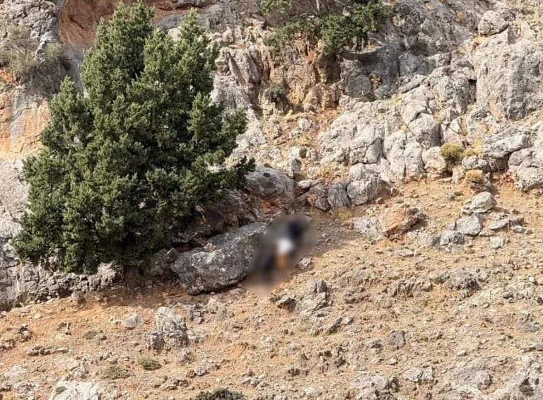 Βορίζια: Συνεχίζονται οι έρευνες για τα όπλα – 9 συλλήψεις