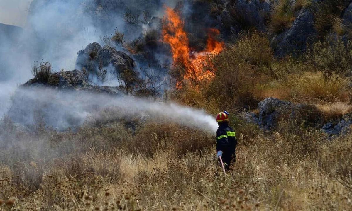 Fire near Larnaca Forest – Rubbish Burnt