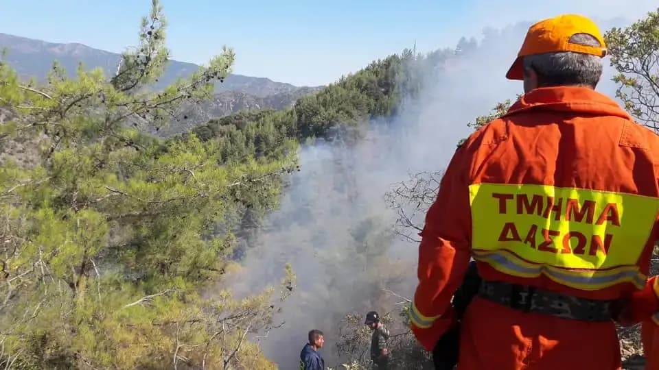 Πυρκαγιά στην Επαρχία Λευκωσίας – Άμεση επέμβαση