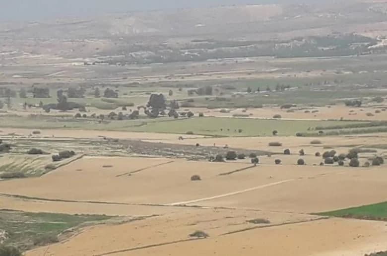 Türkische Aktionen in der Pufferzone Zyperns: Landstreitigkeiten und Bauernvertreibung