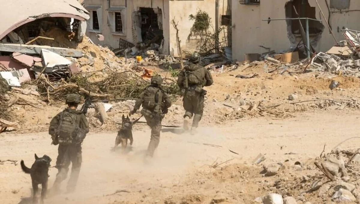 IDF erhält Leiche von Hadar Goldin von Hamas