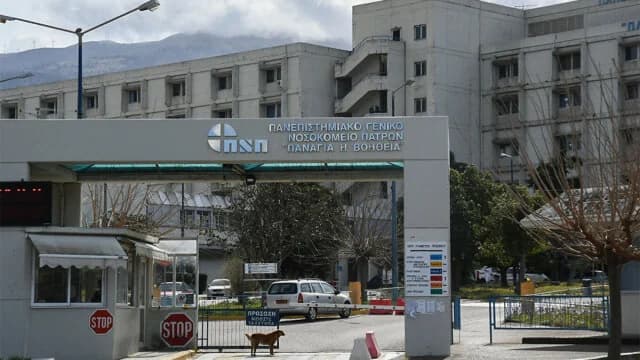 Palomas comen de los platos de los pacientes en el Hospital de Río – Video