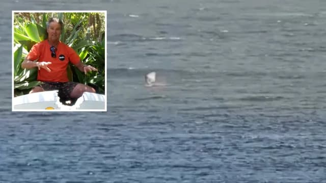 Surfista en Australia se encuentra con un tiburón – Mira el video
