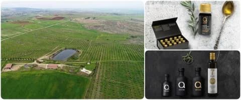 «Atsas Productos Orgánicos»: Aceite de Oliva Chipriota con Reconocimiento Internacional