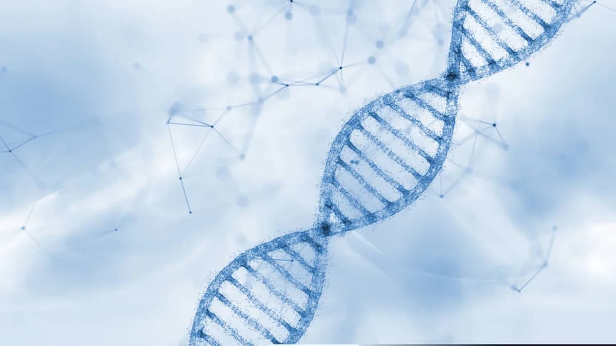 SerpinB3 Protein Discovered to Heal Wounds